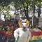 Cores e ritmos pedem passagem na Rua Moron
